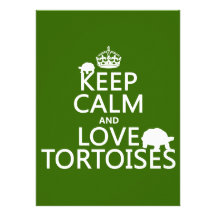 Keep Calm and Love Tortoises (any color) Custom Invitation
