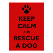 Keep calm dog rescue personalized invitation