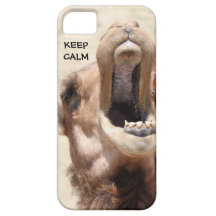 KEEP CALM; loud-mouth camel iPhone Case iPhone 5 Cover