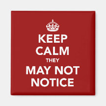 Keep Calm They May Not Notice Magnet