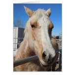 Keep Your Head Up and Keep Moving - Horse Support Greeting Card