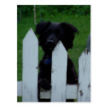 keeping an eye out post cards