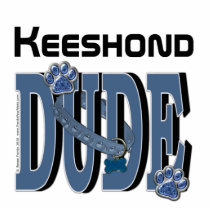 Keeshond DUDE