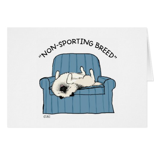 Keeshond "Non-Sporting Breed" Cards