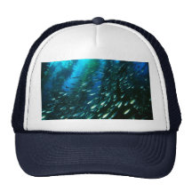 Kelp Forest Mesh Hats