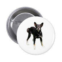 Kelpies ... Work! Pin