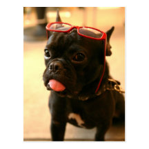 Kenken Postcards A 葉書き