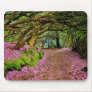 Kenmare Co. Kerry Ireland Mousepad