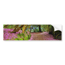 Kenmare Fairy Road Bumper Stickers