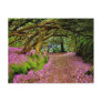 Kenmare Fairy Road Post Card