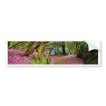 Kenmare Ireland Bumper Sticker