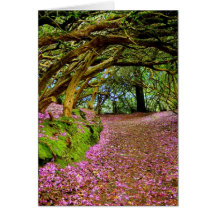 Kenmare Irlande Carte De Vœux