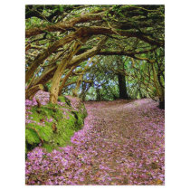 Kenmare Rhododendron Tunnel Custom Letterhead