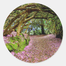 Kenmare Rhododendron Tunnel Round Sticker