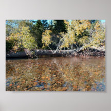 Kennedy Meadows & Stanislaus River Print