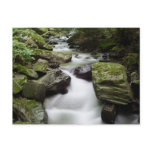 Kenny Creek Falls Post Cards