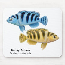 Kennyi African Cichlids Mousepad