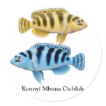 Kennyi African Rift Lake Cichlids Sticker