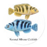 Kennyi African Rift Lake Cichlids Sticker