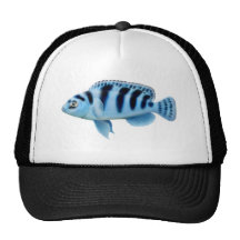 Kennyi Mbuna Cichlid Trucker Hat