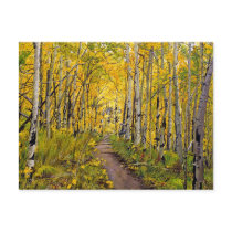 Kenosha to Breckenridge Trail Oil Painting Post Card