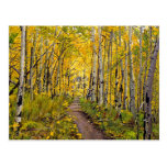 Kenosha to Breckenridge Trail Oil Painting Post Card