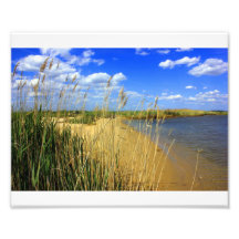 Kent Narrows Beach Photo Art