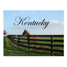 Kentucky Bluegrass Country Postcard