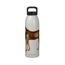 Kentucky Bluegrass Horse and Buggy Water Bottle