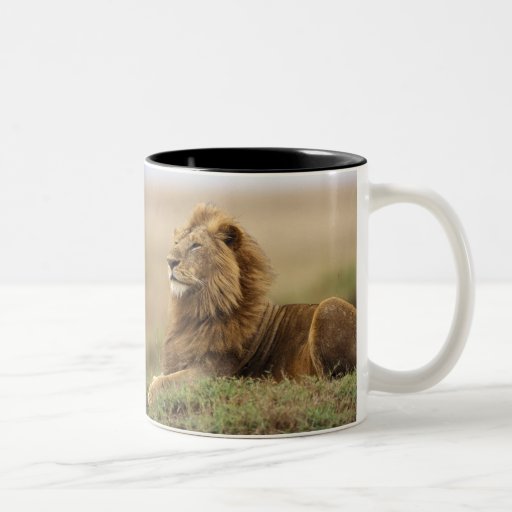 Kenya, Masai Mara. Adult male lion on termite Coffee Mug