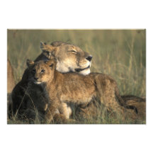 Kenya, Masai Mara Game Reserve, Lioness Art Photo