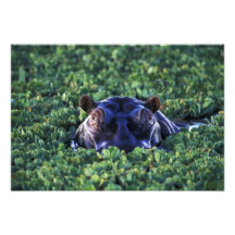 Kenya, Masai Mara National Reserve. Art Photo