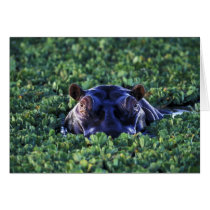 Kenya, Masai Mara National Reserve. Greeting Cards