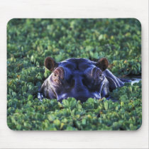 Kenya, Masai Mara National Reserve. Mousepad