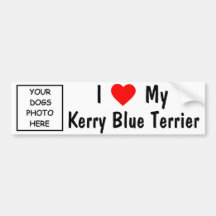 Kerry Blue Terrier Bumper Sticker