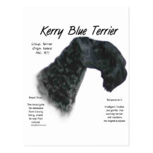 Kerry Blue Terrier History Design Post Card