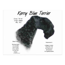 Kerry Blue Terrier History Design Postcards