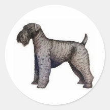 Kerry Blue Terrier Sticker