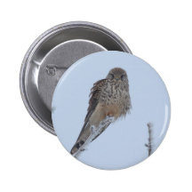 Kestrel Button