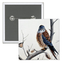 Kestrel Button