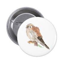 Kestrel Sparrow Hawk, Watercolor Bird Pinback Buttons