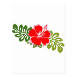 Ketmie et feuille rouges cartes postales