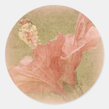 Ketmie rose autocollant rond