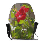 Ketmie rouge de relief, Longstemmed Besace