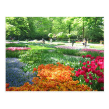 Keukenhof garden - Holland postcard