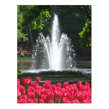 Keukenhof garden - Holland postcard