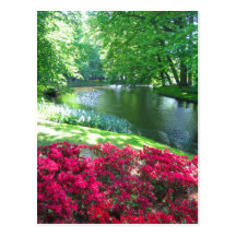 Keukenhof garden - Holland postcard