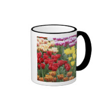 Keukenhof Gardens, Holland, specializes in 2 Mug