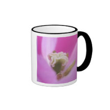 Keukenhof Gardens, Holland, specializes in 3 Mug