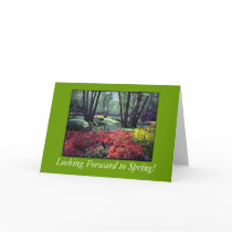 Keukenhof Gardens Netherlands, Greeting Card Templ